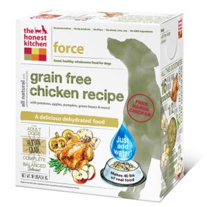 Honest Kitchen Natural dog food