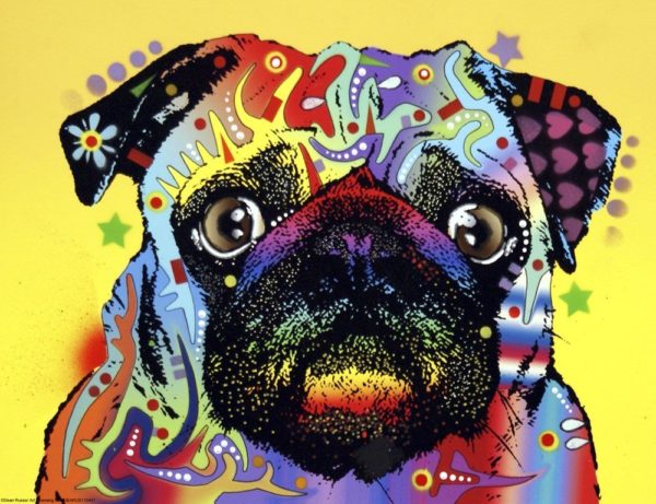 abstract color dog pug arts