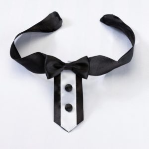 collar suit for dogs bowtie