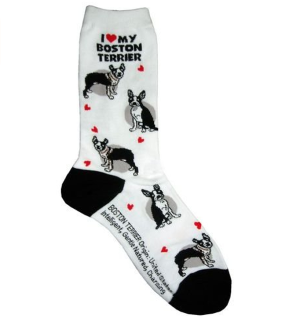 cute socks Boston Terrier dog print