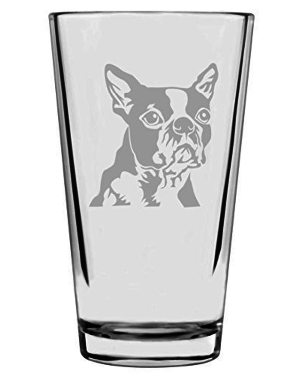 Dog drinking glass beer boston terrier