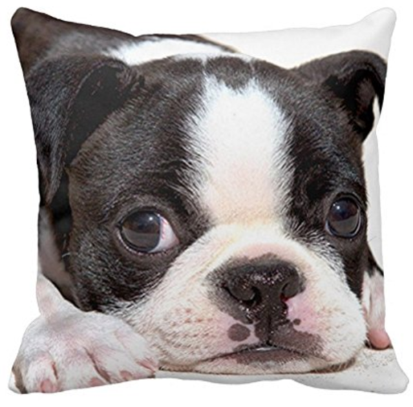 puppy throw pillow sofa